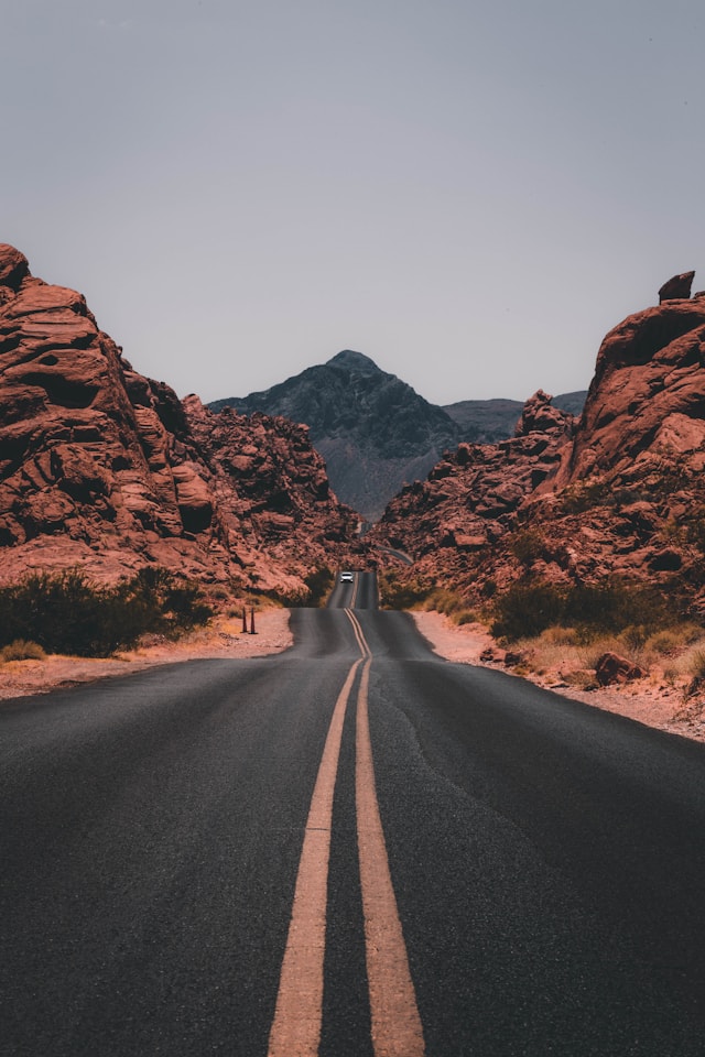 折花令封面